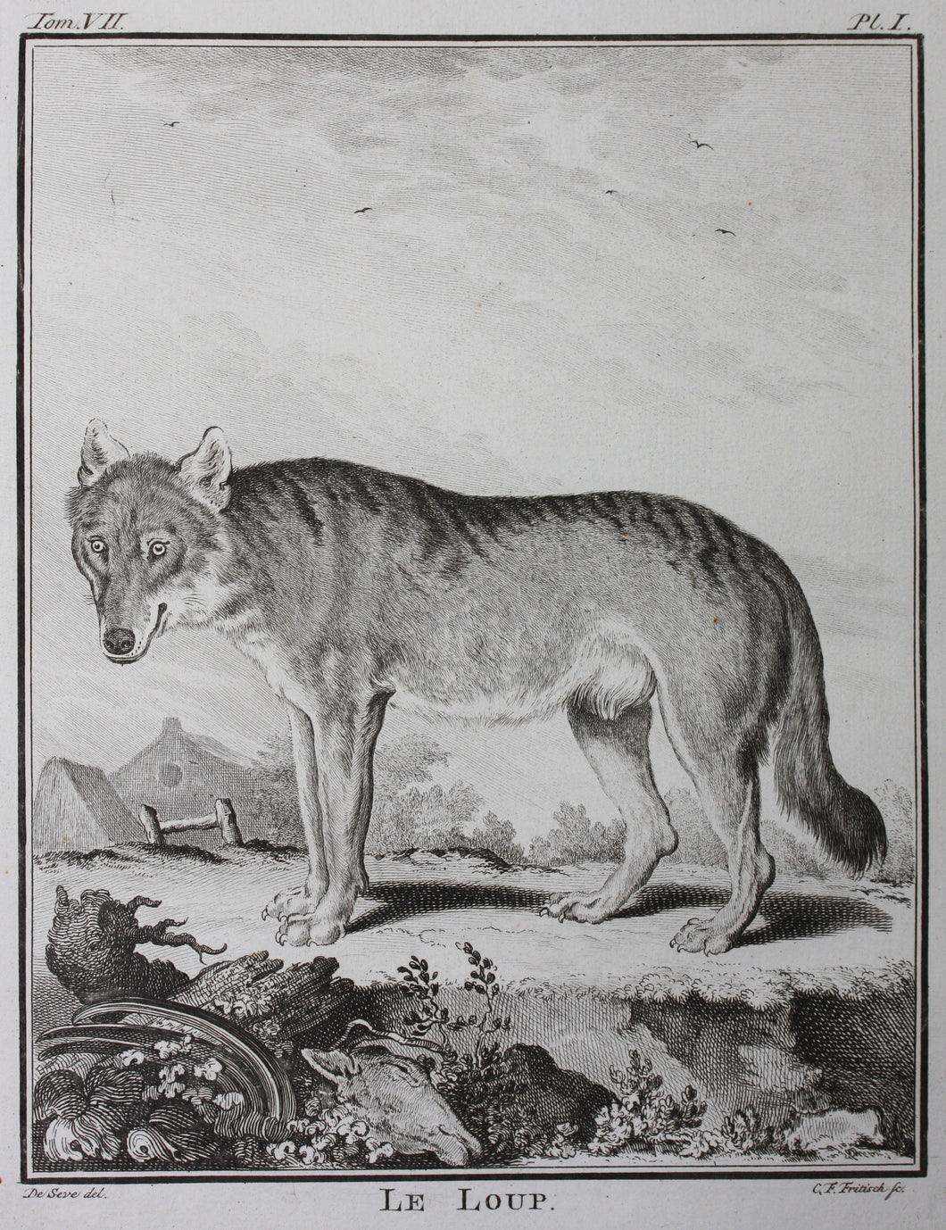 Jacques de Sève, after. Le Loup. Engraved by Christian Friedrich Fritzsch. 1772.