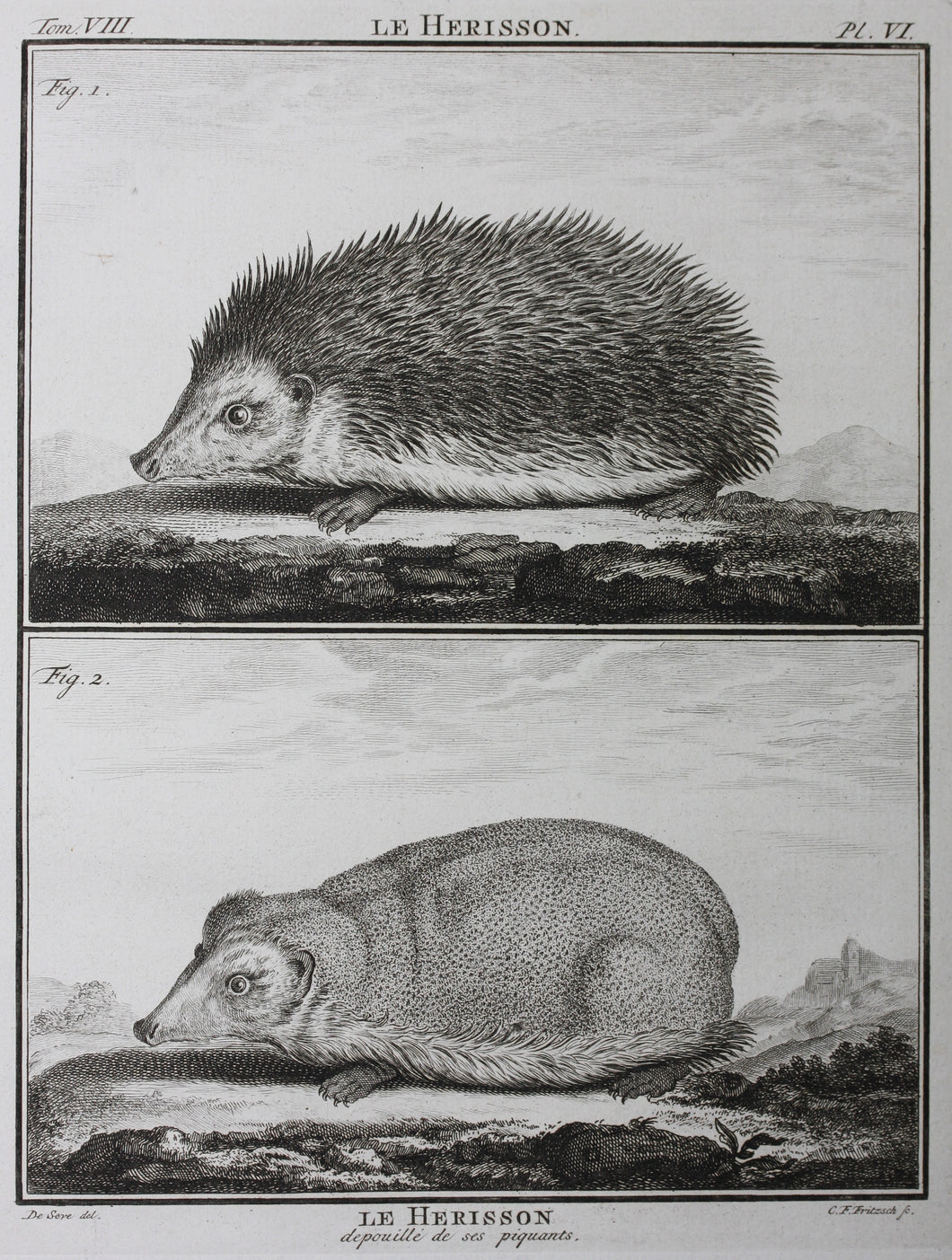 Jacques de Sève, after. Le Herisson. Engraved by Christian Friedrich Fritzsch. C. 1772.