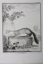 Load image into Gallery viewer, Jacques de Sève, after. La Marte. Engraved by Christian Friedrich Fritzsch. 1772.
