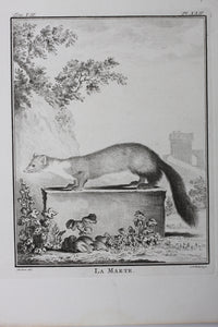 Jacques de Sève, after. La Marte. Engraved by Christian Friedrich Fritzsch. 1772.