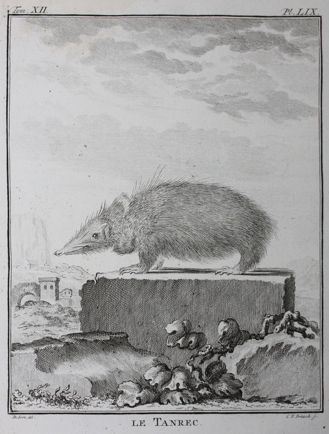 Jacques de Sève, after. Le Tanrec . Engraved by Christian Friedrich Fritzsch. 1770.