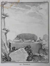 Load image into Gallery viewer, Jacques de Sève, after.  Le Tendrac . Engraved by Christian Friedrich Fritzsch. 1770.
