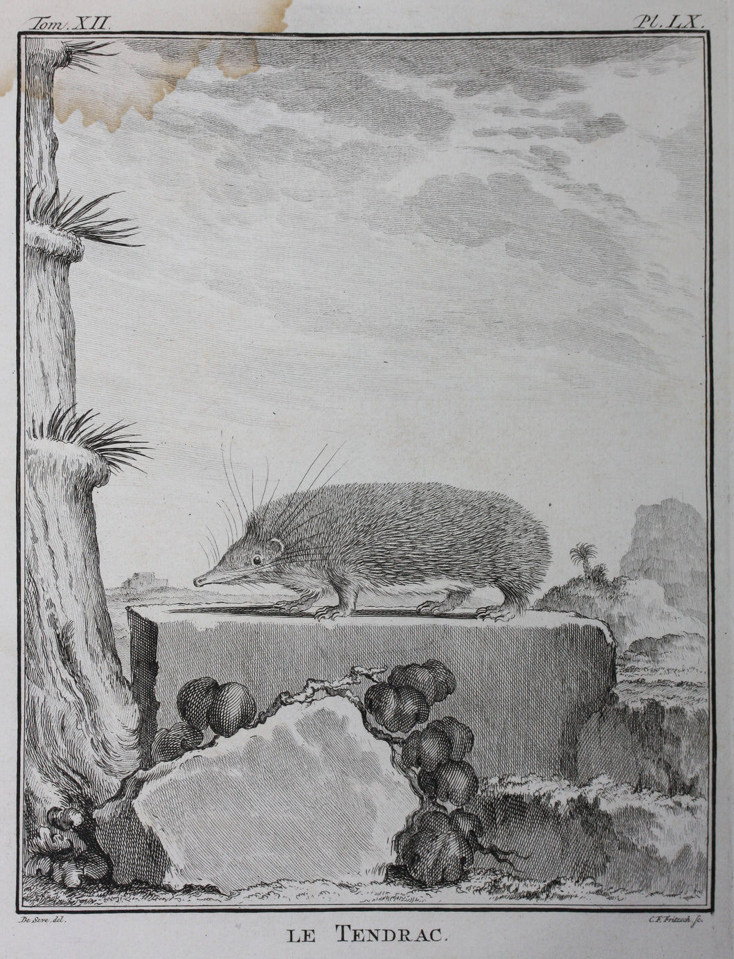 Jacques de Sève, after.  Le Tendrac . Engraved by Christian Friedrich Fritzsch. 1770.
