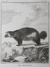 Load image into Gallery viewer, Jacques de Sève, after.  Le Glouton. Engraved by Barent de Bakker. 1770.
