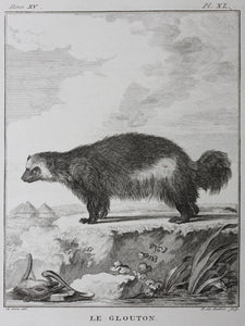Jacques de Sève, after.  Le Glouton. Engraved by Barent de Bakker. 1770.