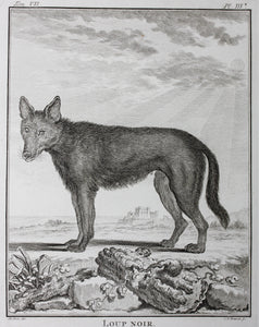 Jacques de Sève, after. Loup Noir. Engraved by Christian Friedrich Fritzsch. 1776.