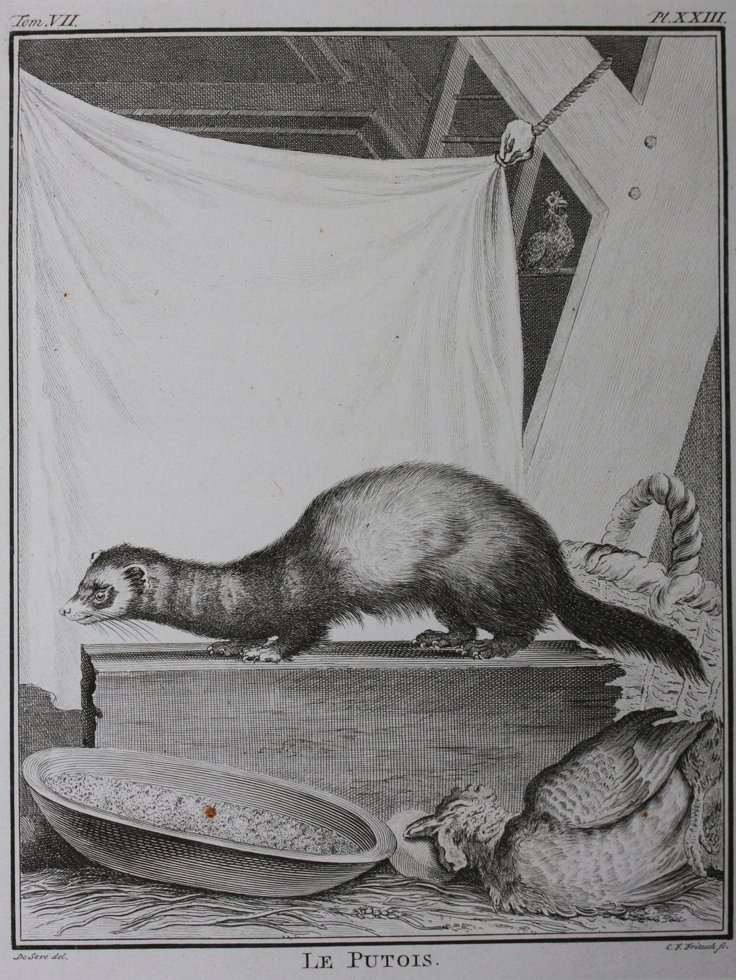Jacques de Sève, after. Le Putois. Engraved by Christian Friedrich Fritzsch. 1772.