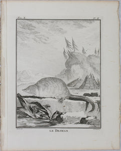 Jacques de Sève, after. le Desman. Engraved by Christian Friedrich Fritzsch. 1768.