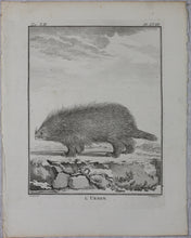 Load image into Gallery viewer, Jacques de Sève, after. l&#39;Urson. Engraved by Christian Friedrich Fritzsch. 1770.
