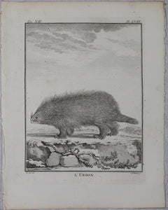 Jacques de Sève, after. l'Urson. Engraved by Christian Friedrich Fritzsch. 1770.