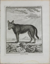Load image into Gallery viewer, Jacques de Sève, after. Loup Noir. Engraved by Christian Friedrich Fritzsch. 1776.
