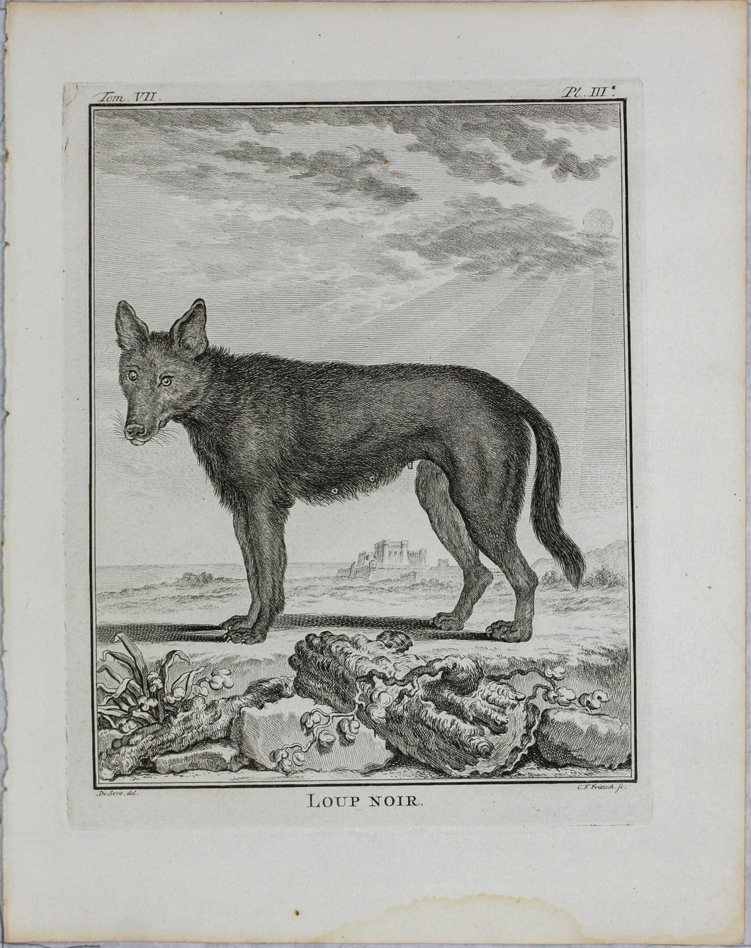 Jacques de Sève, after. Loup Noir. Engraved by Christian Friedrich Fritzsch. 1776.