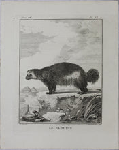 Load image into Gallery viewer, Jacques de Sève, after.  Le Glouton. Engraved by Barent de Bakker. 1770.
