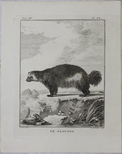 Jacques de Sève, after.  Le Glouton. Engraved by Barent de Bakker. 1770.