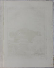 Load image into Gallery viewer, Jacques de Sève, after.  Le Glouton. Engraved by Barent de Bakker. 1770.
