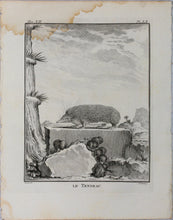 Load image into Gallery viewer, Jacques de Sève, after.  Le Tendrac . Engraved by Christian Friedrich Fritzsch. 1770.
