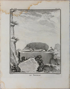 Jacques de Sève, after.  Le Tendrac . Engraved by Christian Friedrich Fritzsch. 1770.