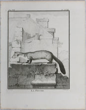 Load image into Gallery viewer, Jacques de Sève, after. La Fouine. Engraved by Christian Friedrich Fritzsch. 1772.
