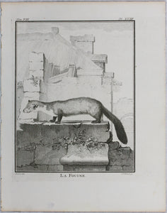 Jacques de Sève, after. La Fouine. Engraved by Christian Friedrich Fritzsch. 1772.