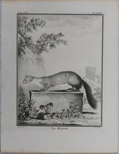 Load image into Gallery viewer, Jacques de Sève, after. La Marte. Engraved by Christian Friedrich Fritzsch. 1772.
