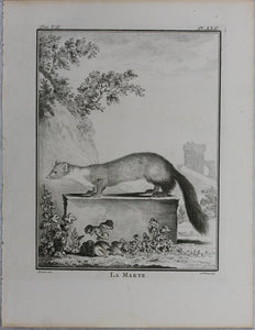 Jacques de Sève, after. La Marte. Engraved by Christian Friedrich Fritzsch. 1772.