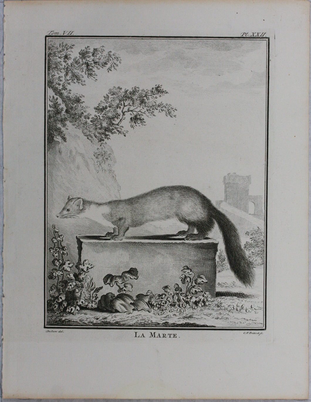 Jacques de Sève, after. La Marte. Engraved by Christian Friedrich Fritzsch. 1772.