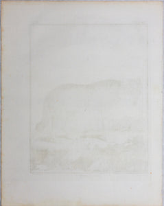 Jacques de Sève, after. Le Loup. Engraved by Christian Friedrich Fritzsch. 1772.