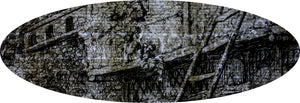 Cornelis Dusart. A Village Festival. Etching. 1685.
