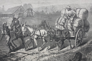 Edwin Austin Forbes, after. Cotton team in North Carolina. Wood engraving. 1866.