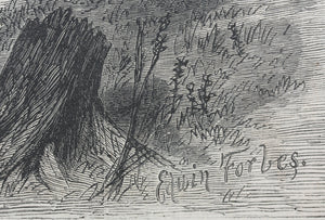 Edwin Austin Forbes, after. Cotton team in North Carolina. Wood engraving. 1866.