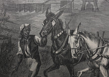 Load image into Gallery viewer, Edwin Austin Forbes, after. Cotton team in North Carolina. Wood engraving. 1866.
