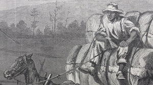 Edwin Austin Forbes, after. Cotton team in North Carolina. Wood engraving. 1866.
