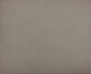 George Baxter. Views of the Metropolis.  Baxter print. 1851-1853.