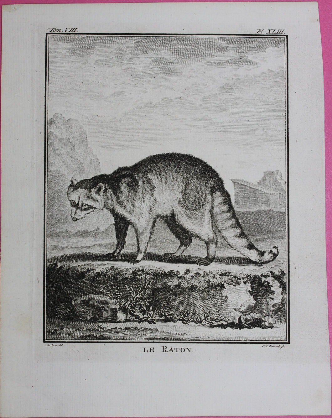 Jacques de Sève, after. Le Raton. Engraved by Christian Friedrich Fritzsch. 1772.