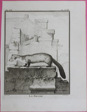 Load image into Gallery viewer, Jacques de Sève, after. La Fouine. Engraved by Christian Friedrich Fritzsch. 1772.
