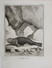 Load image into Gallery viewer, Jacques de Sève, after. Le Phoque. Engraved by O. de Vries. 1785.
