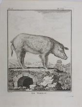 Load image into Gallery viewer, Jacques de Sève, after. Le Verrat. Engraved by Christian Friedrich Fritzsch. 1766.
