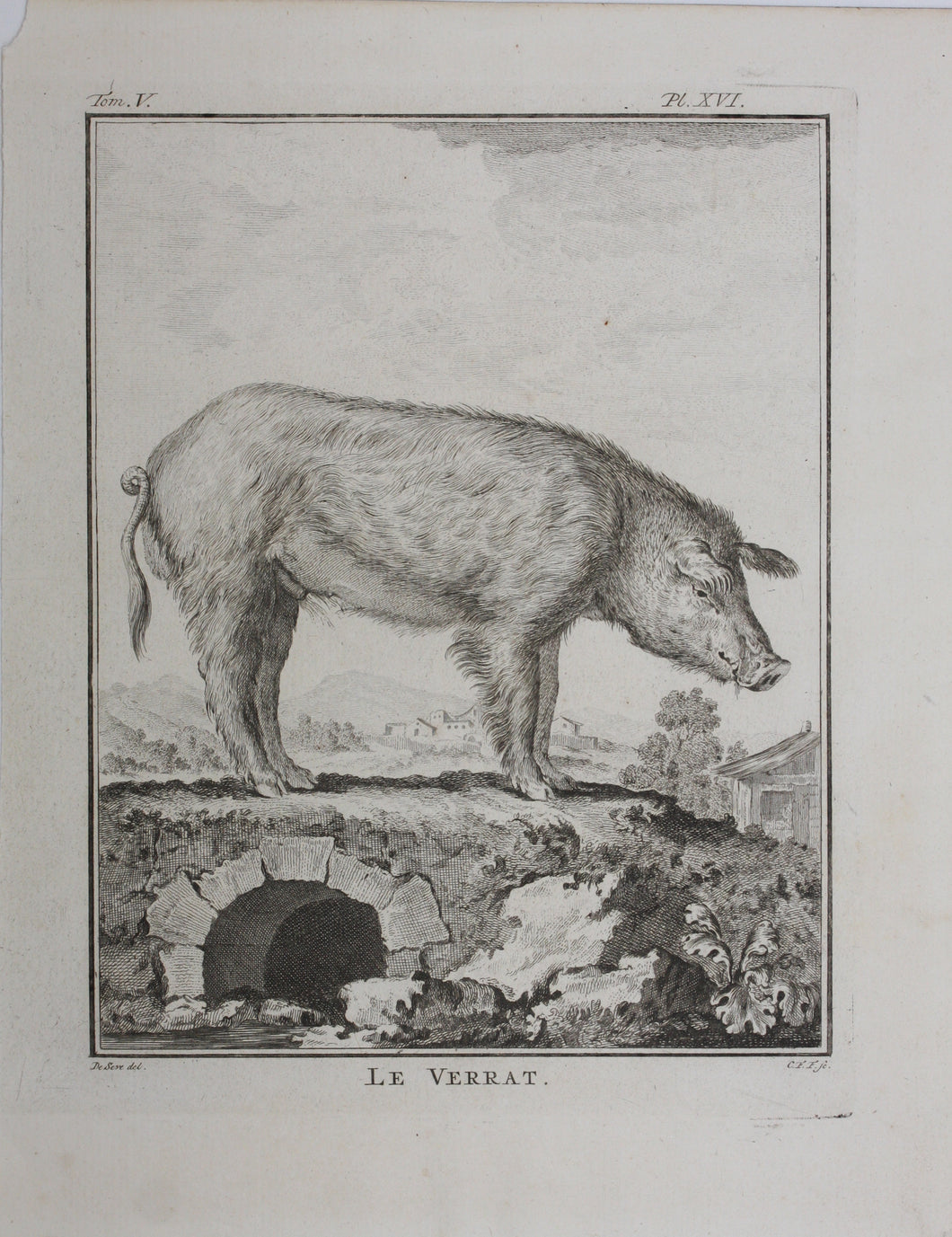 Jacques de Sève, after. Le Verrat. Engraved by Christian Friedrich Fritzsch. 1766.
