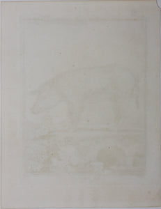 Jacques de Sève, after. Le Verrat. Engraved by Christian Friedrich Fritzsch. 1766.