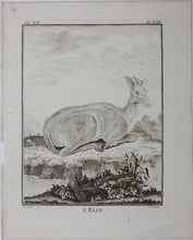 Load image into Gallery viewer, Buvée, after. L&#39;Elan. Engraved by Christian Friedrich Fritzsch. 1769.
