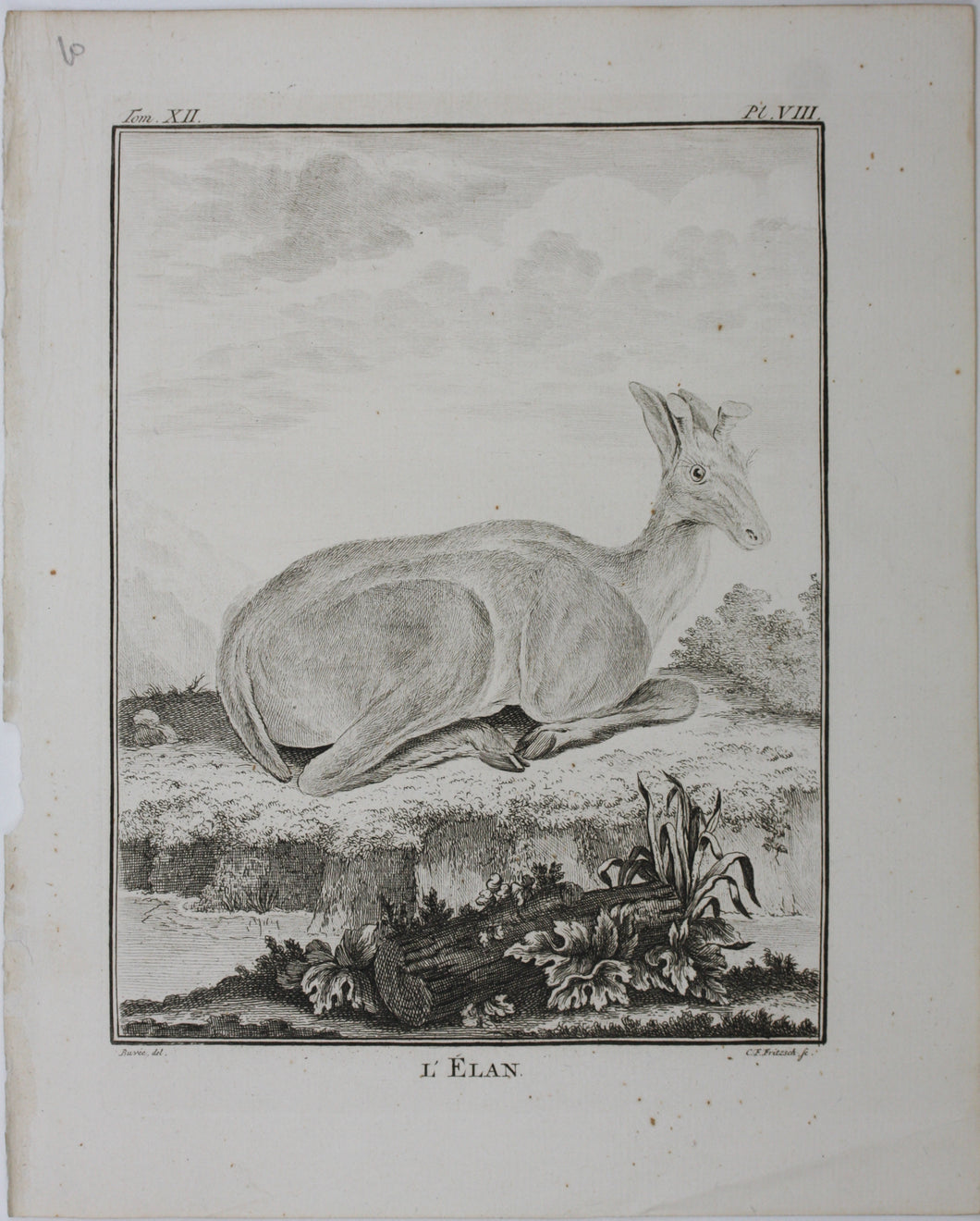 Buvée, after. L'Elan. Engraved by Christian Friedrich Fritzsch. 1769.