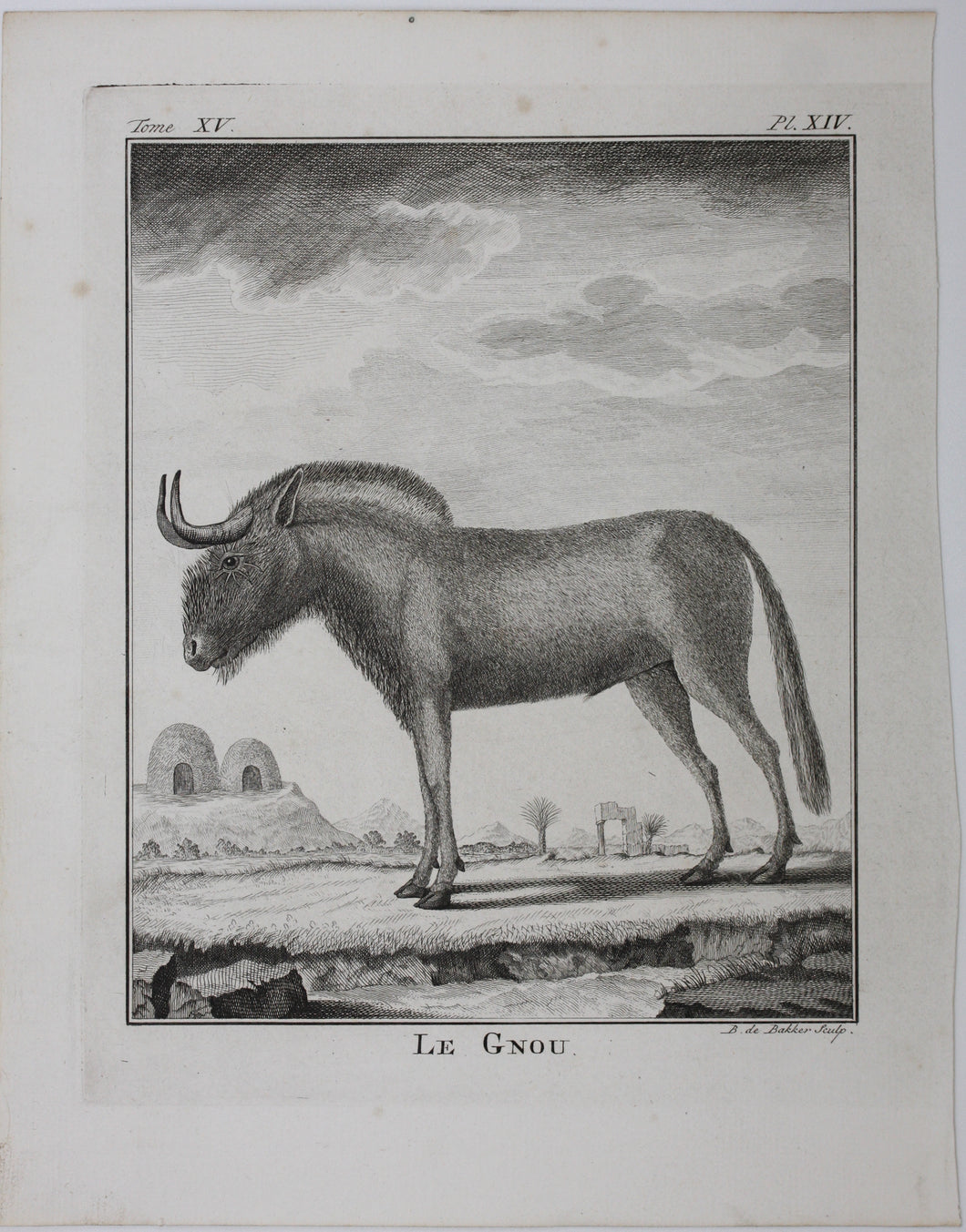 Le Gnou. Engraved by B. de Bakker. 1771.