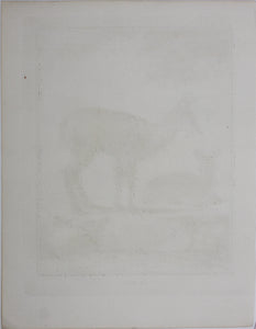 Le Musc. Engraved by O. de Vries. 1785.