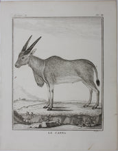 Load image into Gallery viewer, Le Canna. Engraved by William Tringham. 1785.
