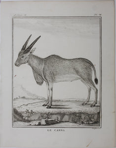 Le Canna. Engraved by William Tringham. 1785.