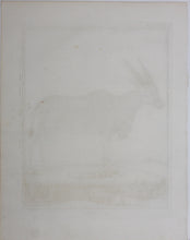 Load image into Gallery viewer, Le Canna. Engraved by William Tringham. 1785.
