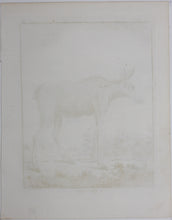 Load image into Gallery viewer, L&#39;Orignal. Engraved by Christian Friedrich Fritzsch. 1771.
