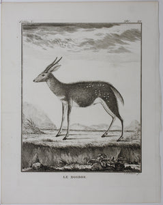 Le Bosbok. Engraved by Christian Friedrich Fritzsch. 1785.