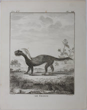Load image into Gallery viewer, J[ean?]-B[aptiste?] [Oudry?], after. Le Grison. Engraved by Christian Friedrich Fritzsch. 1771.
