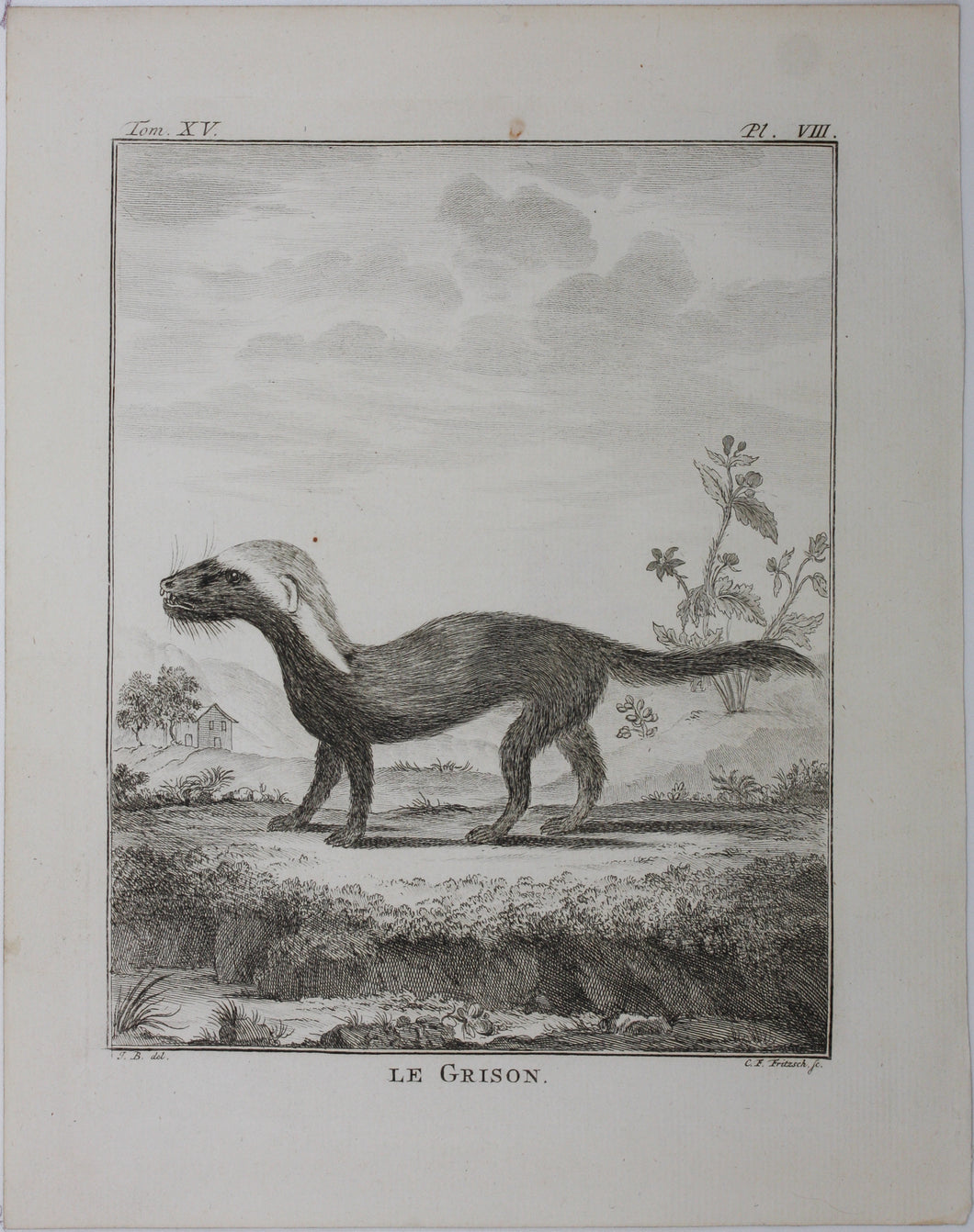 J[ean?]-B[aptiste?] [Oudry?], after. Le Grison. Engraved by Christian Friedrich Fritzsch. 1771.